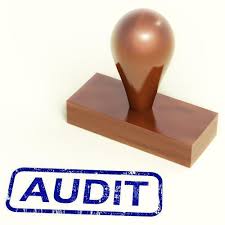 Diklat Tata Cara dan Standar Audit Kinerja